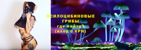 марки nbome Вяземский