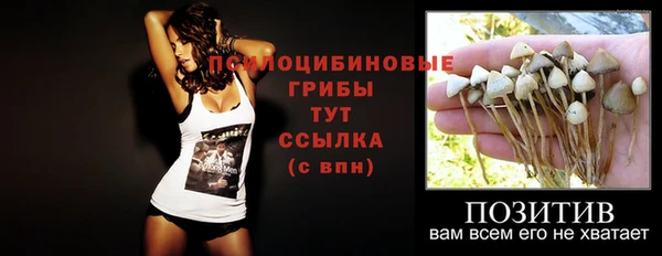ешки Волоколамск