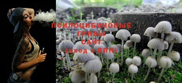 ешки Волоколамск